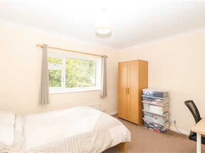 Picture 28